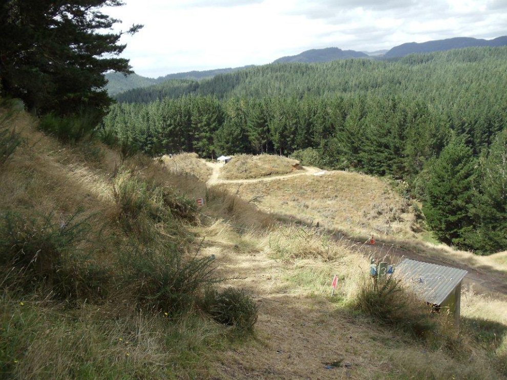 DSC00100 - Copy - Copy.jpg - This shows most of field two, the last two of four stands are over the edge of the grassy cliff !!!